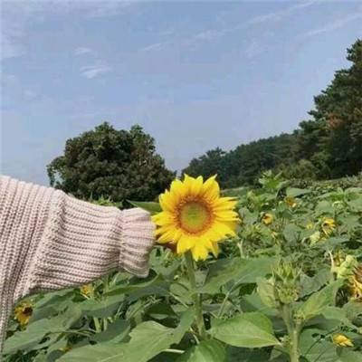城市斗士vs街头帮派游戏下载